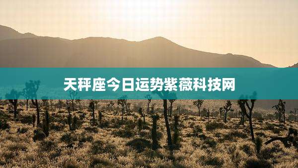 天秤座今日运势紫薇科技网