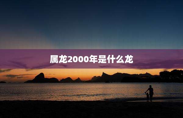 属龙2000年是什么龙
