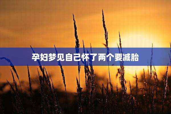 孕妇梦见自己怀了两个要减胎