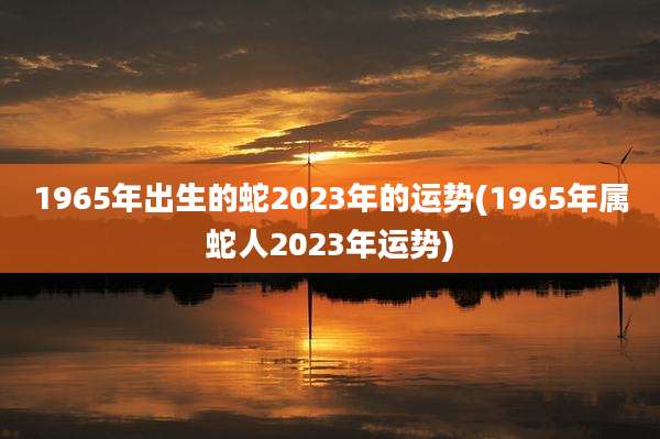 1965年出生的蛇2023年的运势(1965年属蛇人2023年运势)