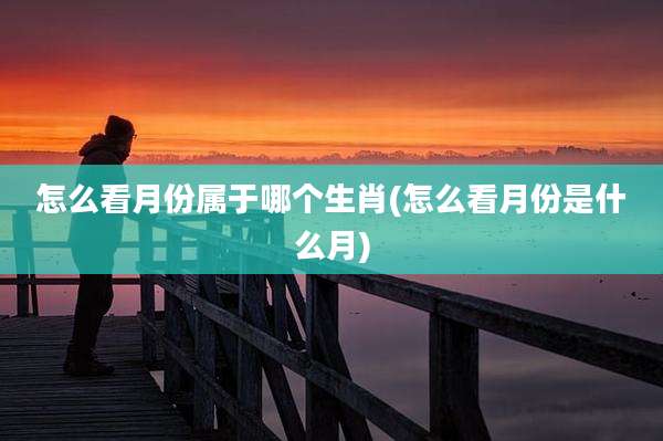 怎么看月份属于哪个生肖(怎么看月份是什么月)