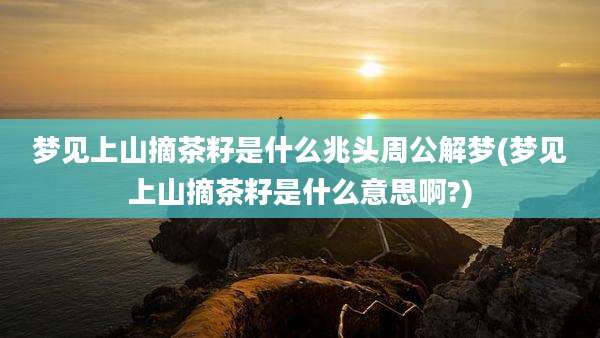 梦见上山摘茶籽是什么兆头周公解梦(梦见上山摘茶籽是什么意思啊?)