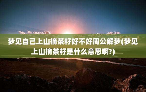 梦见自己上山摘茶籽好不好周公解梦(梦见上山摘茶籽是什么意思啊?)