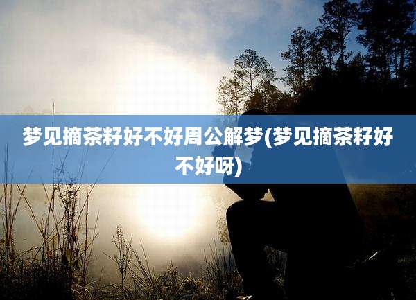 梦见摘茶籽好不好周公解梦(梦见摘茶籽好不好呀)