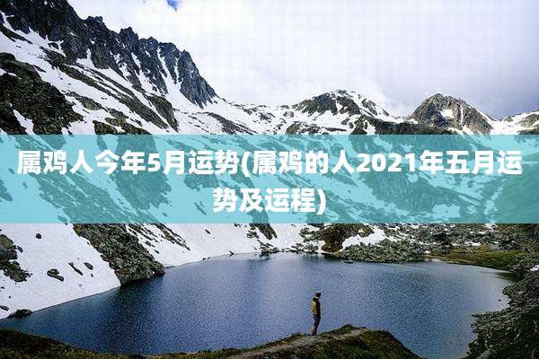 属鸡人今年5月运势(属鸡的人2021年五月运势及运程)