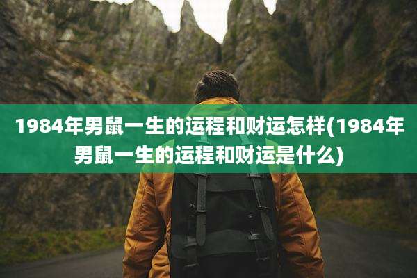 1984年男鼠一生的运程和财运怎样(1984年男鼠一生的运程和财运是什么)