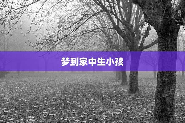 梦到家中生小孩