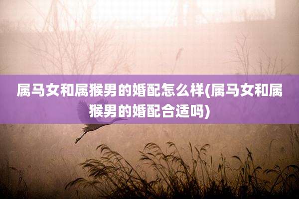 属马女和属猴男的婚配怎么样(属马女和属猴男的婚配合适吗)