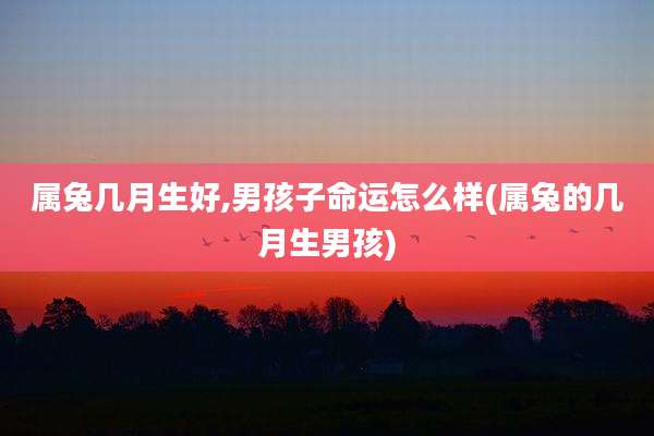 属兔几月生好,男孩子命运怎么样(属兔的几月生男孩)