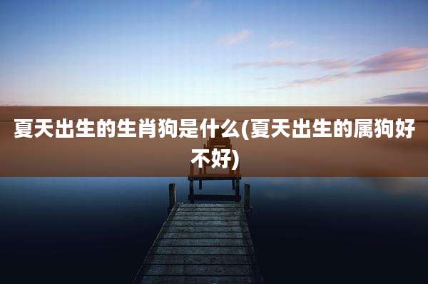 夏天出生的生肖狗是什么(夏天出生的属狗好不好)