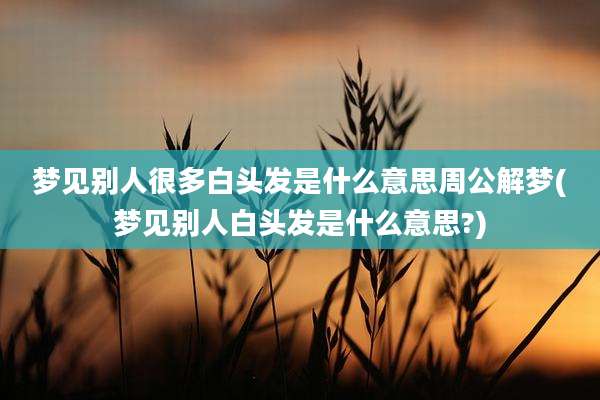 梦见别人很多白头发是什么意思周公解梦(梦见别人白头发是什么意思?)