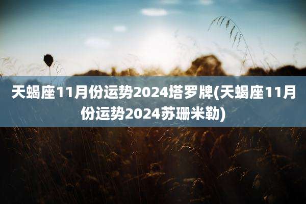 天蝎座11月份运势2024塔罗牌(天蝎座11月份运势2024苏珊米勒)