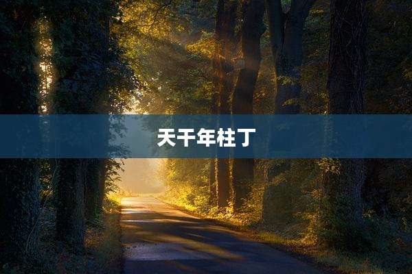 天干年柱丁