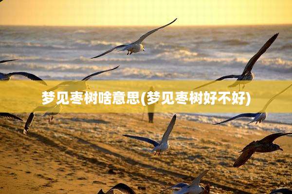 梦见枣树啥意思(梦见枣树好不好)