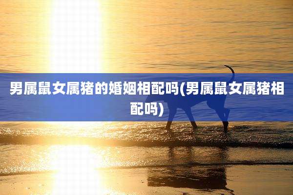 男属鼠女属猪的婚姻相配吗(男属鼠女属猪相配吗)