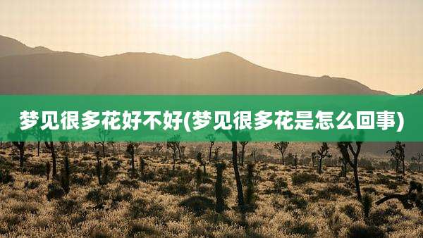 梦见很多花好不好(梦见很多花是怎么回事)