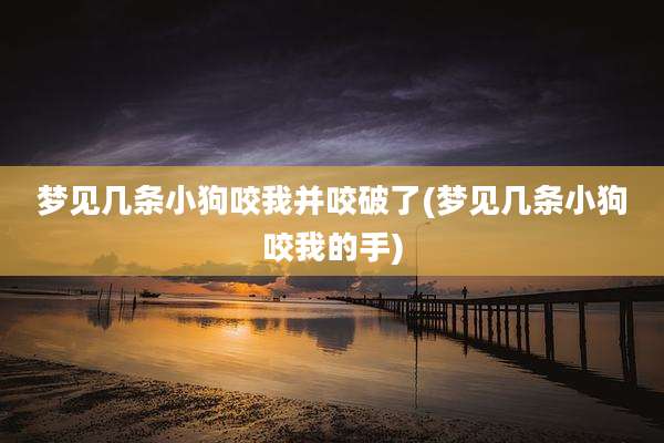 梦见几条小狗咬我并咬破了(梦见几条小狗咬我的手)