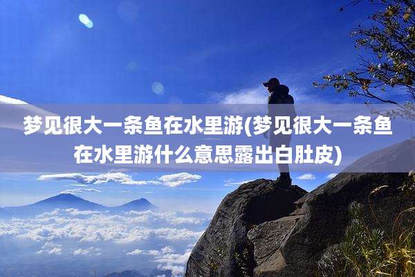 梦见很大一条鱼在水里游(梦见很大一条鱼在水里游什么意思露出白肚皮)