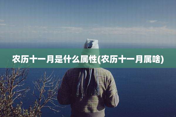 农历十一月是什么属性(农历十一月属啥)