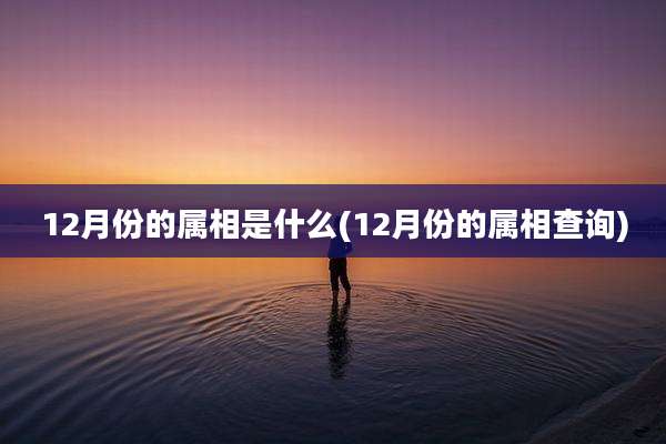 12月份的属相是什么(12月份的属相查询)