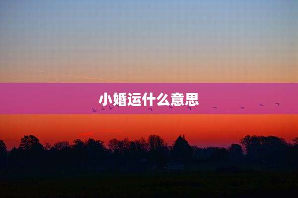 小婚运什么意思