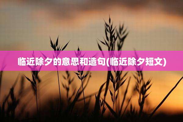 临近除夕的意思和造句(临近除夕短文)