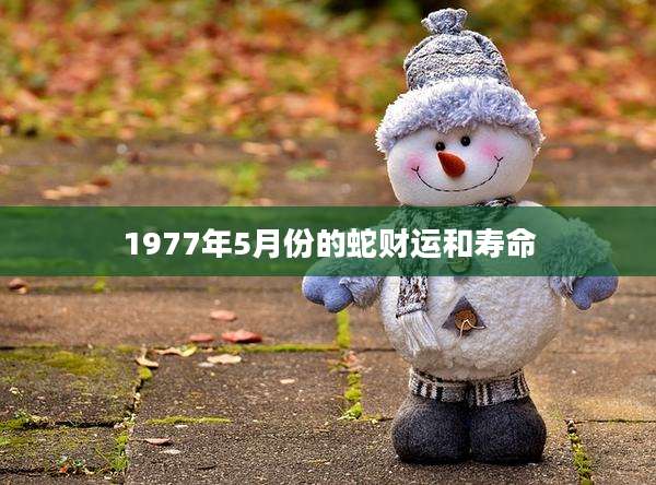 1977年5月份的蛇财运和寿命