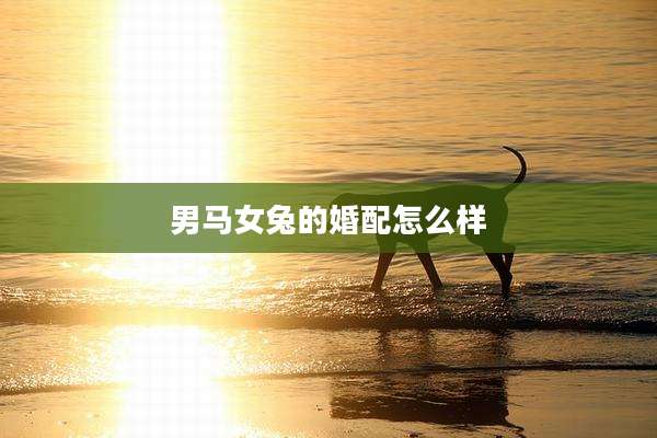 男马女兔的婚配怎么样