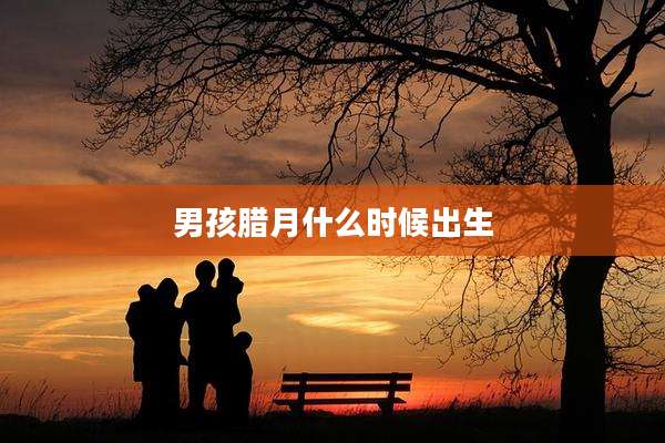 男孩腊月什么时候出生