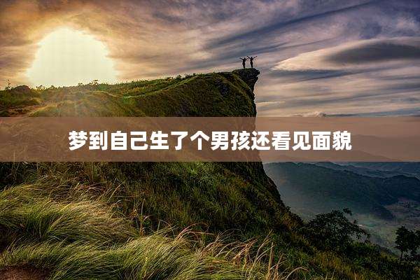 梦到自己生了个男孩还看见面貌