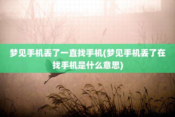梦见手机丢了一直找手机(梦见手机丢了在找手机是什么意思)