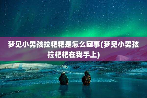 梦见小男孩拉粑粑是怎么回事(梦见小男孩拉粑粑在我手上)