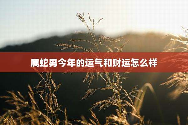 属蛇男今年的运气和财运怎么样