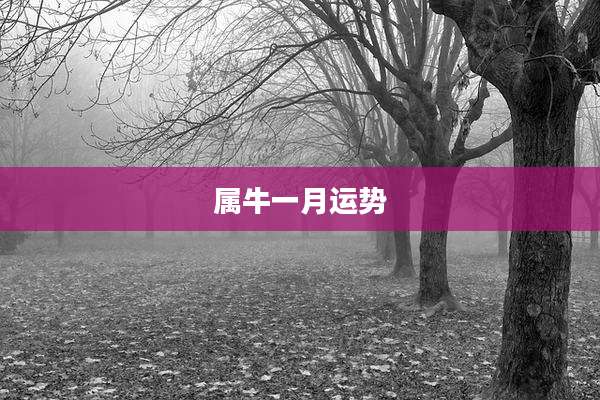 属牛一月运势