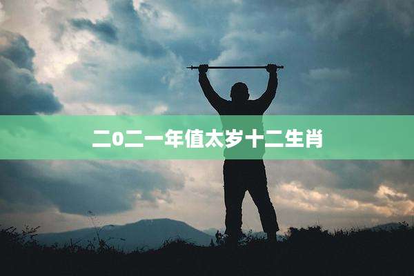 二0二一年值太岁十二生肖