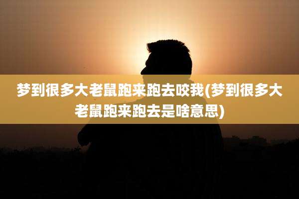 梦到很多大老鼠跑来跑去咬我(梦到很多大老鼠跑来跑去是啥意思)