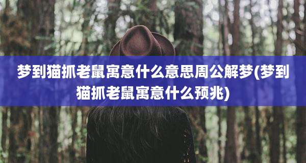 梦到猫抓老鼠寓意什么意思周公解梦(梦到猫抓老鼠寓意什么预兆)