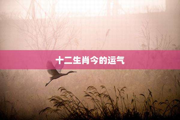 十二生肖今的运气