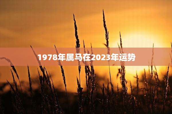 1978年属马在2023年运势
