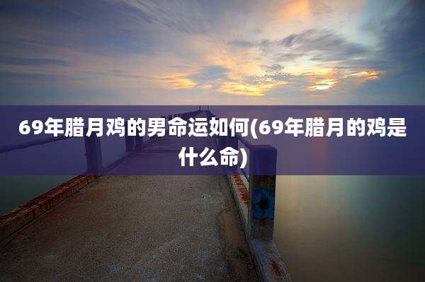 69年腊月鸡的男命运如何(69年腊月的鸡是什么命)