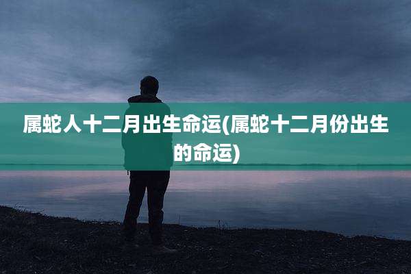 属蛇人十二月出生命运(属蛇十二月份出生的命运)