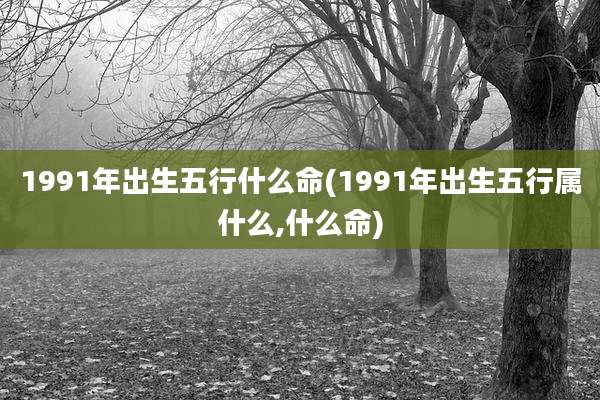 1991年出生五行什么命(1991年出生五行属什么,什么命)