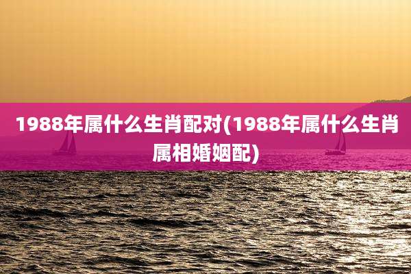 1988年属什么生肖配对(1988年属什么生肖属相婚姻配)