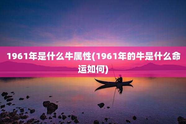 1961年是什么牛属性(1961年的牛是什么命运如何)