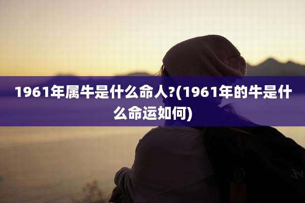 1961年属牛是什么命人?(1961年的牛是什么命运如何)