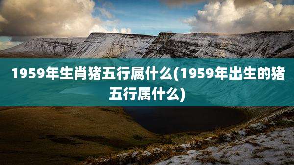 1959年生肖猪五行属什么(1959年出生的猪五行属什么)