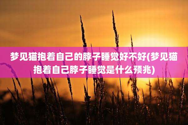 梦见猫抱着自己的脖子睡觉好不好(梦见猫抱着自己脖子睡觉是什么预兆)