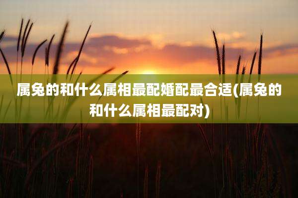 属兔的和什么属相最配婚配最合适(属兔的和什么属相最配对)