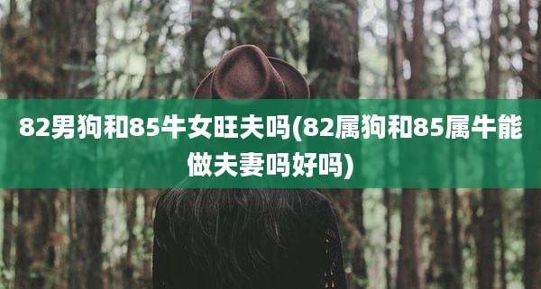 82男狗和85牛女旺夫吗(82属狗和85属牛能做夫妻吗好吗)