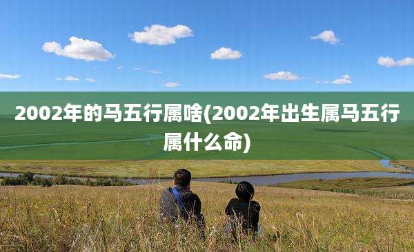 2002年的马五行属啥(2002年出生属马五行属什么命)